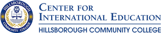 Center for International Education logo